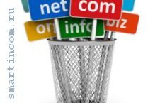 Выбор и регистрация домена для сайта
